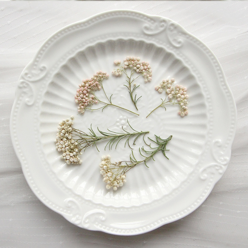 12pcs,Nature Millet flower bra - Dried Flower Bookmark 评论和价格