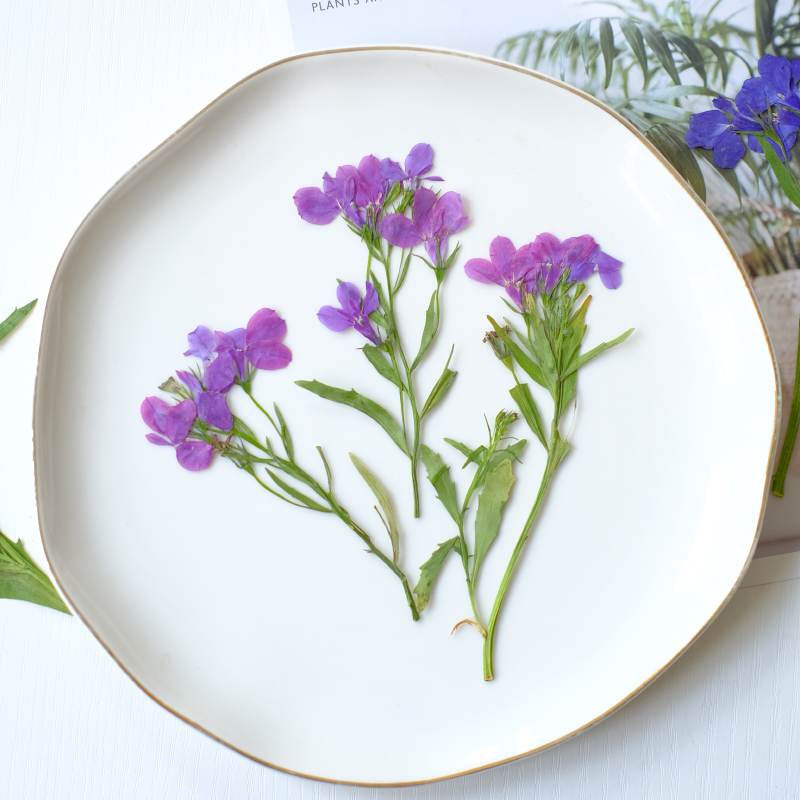 6pcs/8-13cm,nature Lobelia Eri - Dried Flower Bookmark 评论和价格